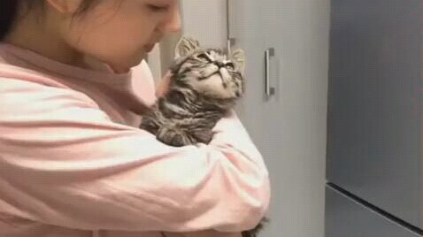 Forced affection is never sweet.