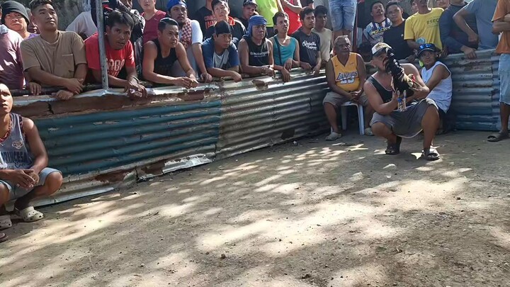 2nd fight ika upat na naka buno among 11mons kapin.