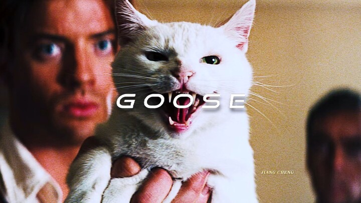 The Exorcism Artifact That Even Mummies Fear: the “Shi Yuan Beast”