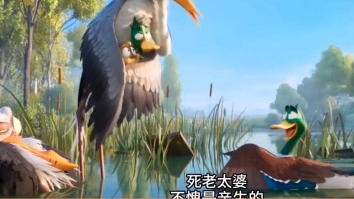 Flying duck rushes forward, funny dubbing "funny dubbing animation" funny