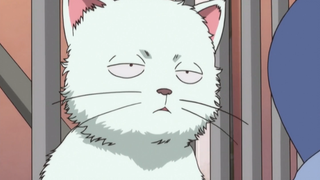 [Gintama ‖Funny Scene] Silver cat’s troubled lower body