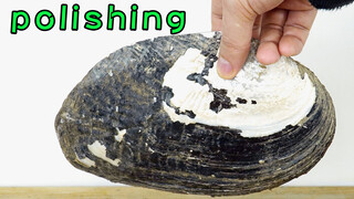 [Psycho of Polishing] Polishing a Large Clamshell