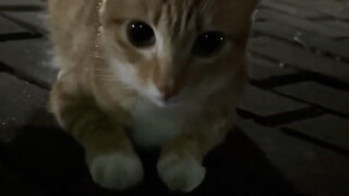 咪：人，你也坐在这吹风嘛～