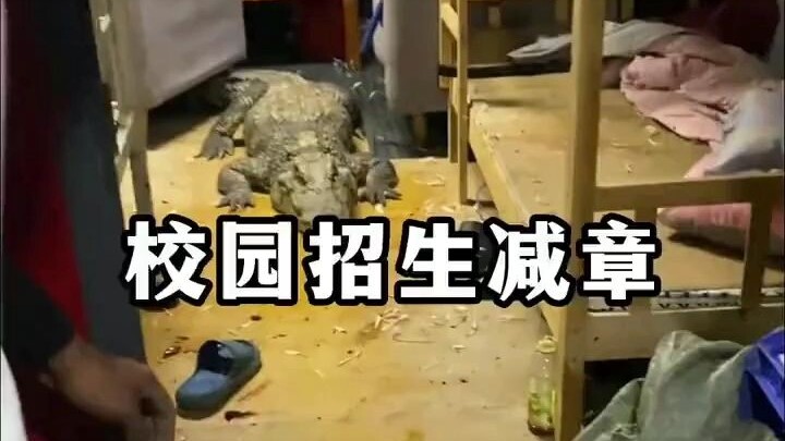 各校的招生减章，刘禹锡连夜撤回一篇“陋室铭”