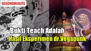 Apakah Teach Adalah Hasil Eksperimen dr.Vegapunk Di Masa Lalu || One Piece