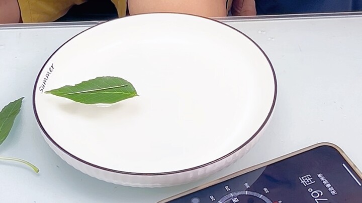 Tự chế la bàn tại nhà. Khá thú vị đấy!