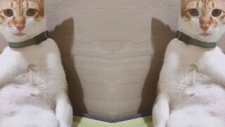 Bio