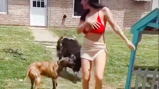 Early Wildlife Taming Humans in Real Life