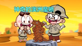 【唐唐】涨知识！澳洲魔蜥的反差感