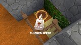 lần đầu chơi Mini World (chicken weed) - Tập 1