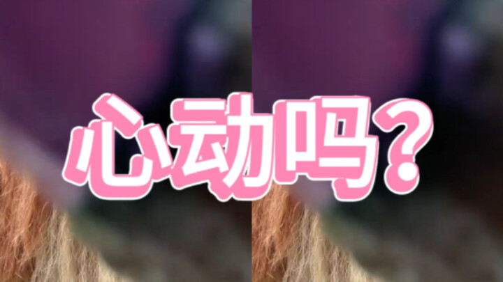 โลกใบนี้กว้างใหญ่ขนาดนี้ ต้องมีใครสักคนที่เป็นเพื่อนของชูว์บาคาแน่ๆ! ขอเสนอให้คุณแล้วที่นี่เลย～