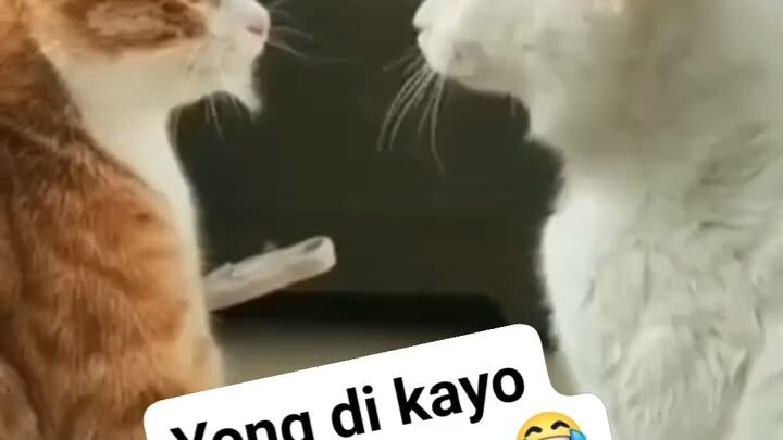 yung kapatid mo na lagi mo kaaway