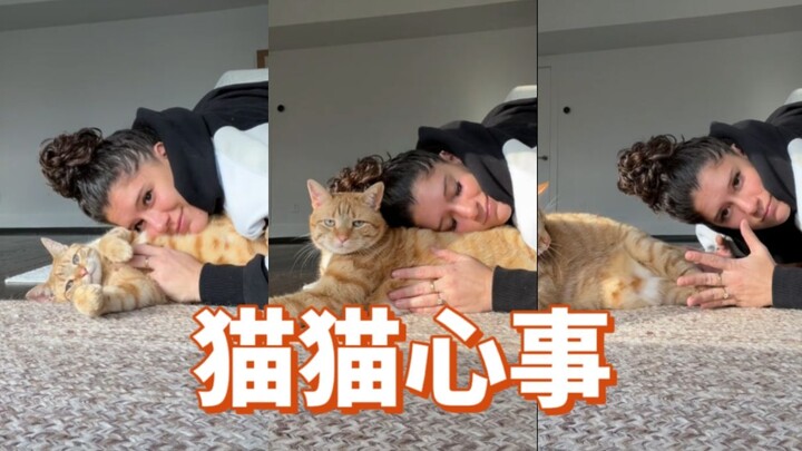 Mèo Mèo: Hi hi, mẹ người của tớ chẳng bao giờ đoán được kế tiếp tớ sẽ làm gì đâu!