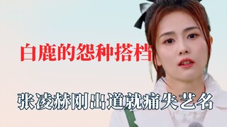 白鹿和他的怨种搭档们，张凌赫刚火痛失艺名