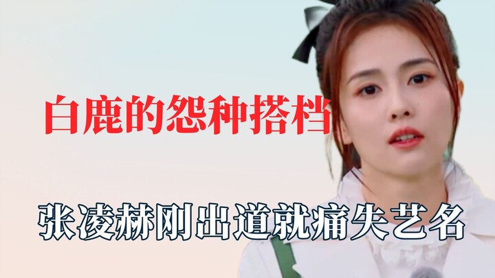 白鹿和他的怨种搭档们，张凌赫刚火痛失艺名