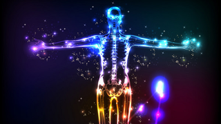 【趣论】人体的煞笔之处：下水道为什么要跟娱乐区域做邻居？