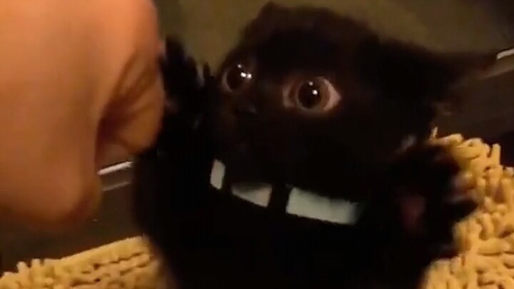 Quickly show this to the cute person!