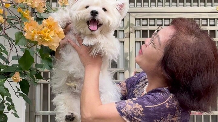 أمي التي منعتني من تربية الكلب في البداية