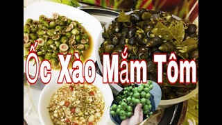 LẦN ĐẦU TIÊN ĂN MÓN ỐC XÀO MẮM TÔM  SẢ ỚT CÙNG MẺ SIÊU LẠ TAM MAO TV CŨNG THÈM