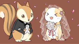 [Kẹo chuột] Hai hình ảnh hamster và sóc đến từ đâu?
