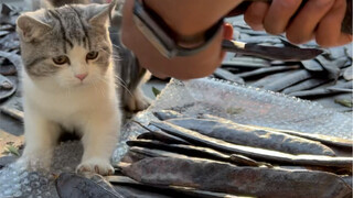 رغم أن هذه الشجرة من الصابون التي في منزل والدي لم تُبَع هذا العام، إلا أنها على الأرجح حققت أقصى اس