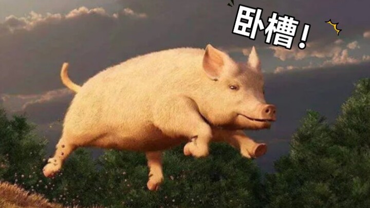 Babi itu berdiri.