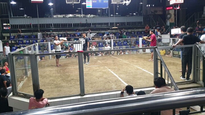 wpc national banded  semis zia and zion entry name ABBA21 GF