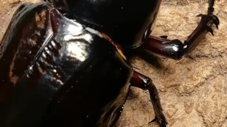 When you need to trim your nails but don’t have a nail clipper handy...