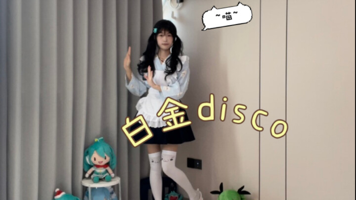 白金disco/白金ディスコ