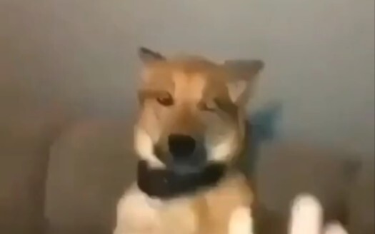 You think I don't understand, do you?