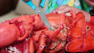 Gấu Ơi Ăn Gì!! Lobster Canada -Tôm Hùm Khổng Lồ ! Ăn Mừng Việt Nam Và Chúc Mừng
