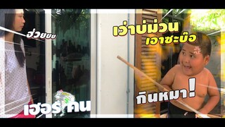เฮอริเคนกินหมา?!