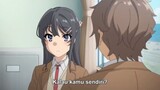 Seishun Buta  yarou wa Yumemiru Shoujo no  Yume wo Minai  movie