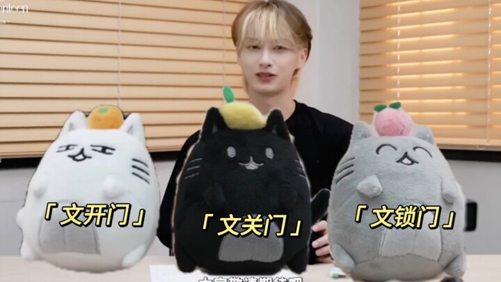 อัปเดตประวัติลูกสามแฝดของเจ้าเหมียว fifi ของเหวินจวิ้นฮุย~
