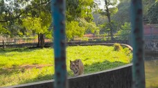 Bp 5 | Chapter 6 | Ep 41-48 Now Available On Bongo