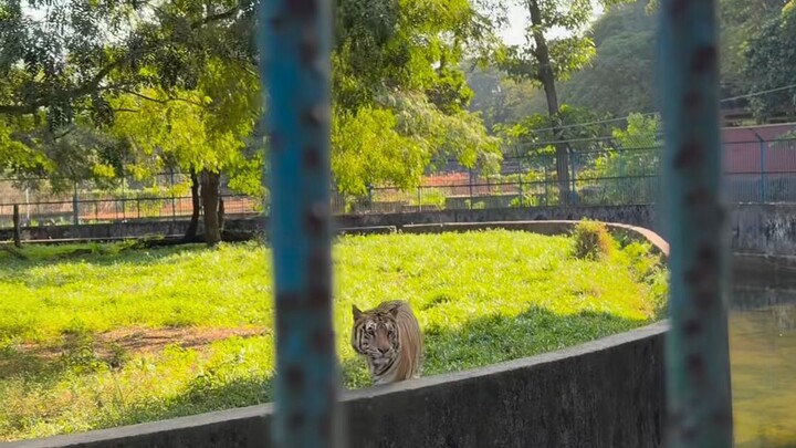 Bp 5 | Chapter 6 | Ep 41-48 Now Available On Bongo