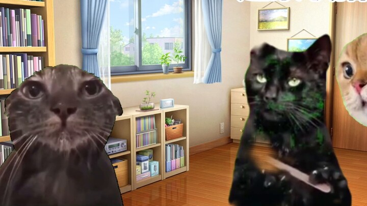 [Cat Meme] Siswa seni yang tidak mau mengikuti ujian umum terpaksa mempersiapkan ujian selama libura