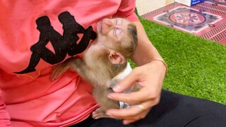 Cute Baby Liheang Sleep Hug Mom