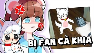 Mèo Simmy Nổi Khùng Khi Bé Mưa "Bị Fan Cà Khịa Cực Mạnh" Trong Đảo Gấu Tuyết