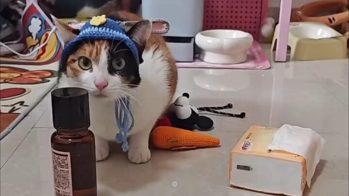 ไลฟ์สดฮาโครกกว่าวิดีโอมาก ฮ่าๆๆๆ