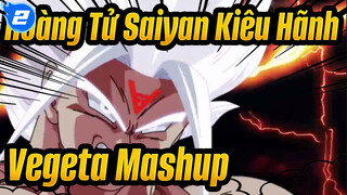 Hoàng Tử Saiyan Kiêu Hãnh 
Vegeta Mashup_2