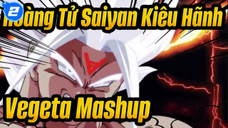 Hoàng Tử Saiyan Kiêu Hãnh 
Vegeta Mashup_2