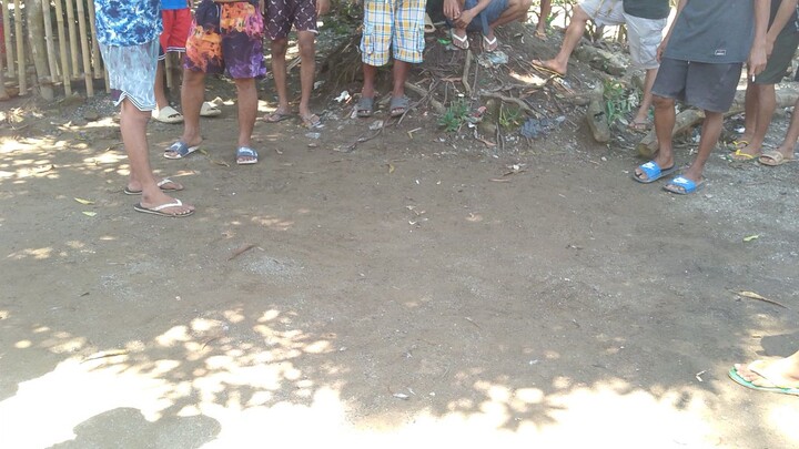 2nd fish (Win) 4yrs old vs 10months old