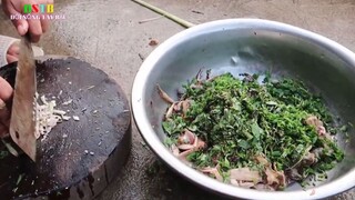 Món Ăn Cực Lạ Cực Ngon Từ Loài Sinh Vật Rừng Tây Bắc Là Đây Chứ Đâu _ Đời Sống T