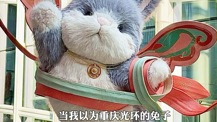 Chongqing residents: We’re under no obligation to turn our bunnies into soggy ones! #Chongqing #Rabb