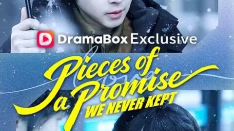 雾沉星未眠 | Pieces of a Promise We Never Kept