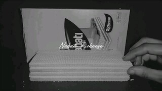Camilan Nabati Richeese