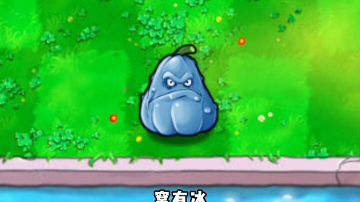 Thật sự có băng!