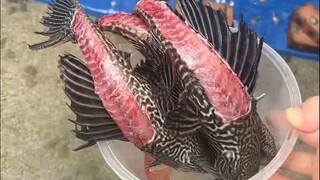 คนเก็บขยะ: พฤติกรรมของคุณนี่ร้ายยิ่งกว่ายมบาลที่ยังมีชีวิตเสียอีก!