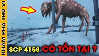 🔥7 Lần SCP Xuất Hiện Ngoài Đời Thực Vô Tình Bị Camera Quay Lại | Khám Phá Thú Vị